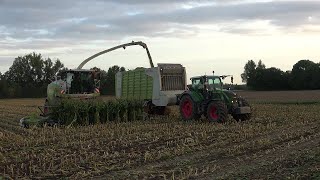 Mais 2023 LU Norbert Mäser Claas Jaguar 970 mit verschiedenen Abfahrern in der Wetterau [upl. by Enirehtac]