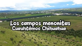 Los campos menonitas Cuauhtémoc Chihuahua [upl. by Moureaux615]