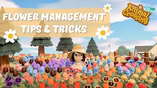 Flower Management Tips amp Tricks  Animal Crossing New Horizons [upl. by Nivad]