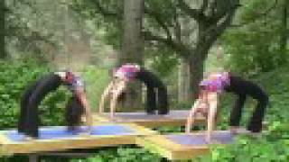 Anusara Yoga  DVD  Heart Flow Vinyasa  Ishwari Gonnot [upl. by Proffitt]