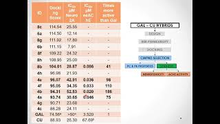 Beyond in silico simulations a case study on acetylcholinesterase inhibitors [upl. by Dragone359]