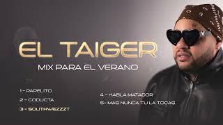 El Taiger  Mix Verano 2024 Oficial [upl. by Akimaj]