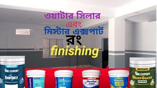 রং করে খরচ বাঁচানsaving money on paint [upl. by Bernelle]