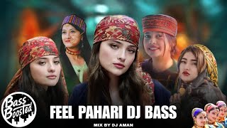 FEEL PAHARI DJ BASS  NONSTOP 🎧 DJ AMAN  PAHARI NATI  NEW PAHARI SONG 2024 himachalibhailog [upl. by Ameehsat]