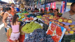 CONHECENDO A FEIRA LIVRE DE CARPINAPE COM SUAS CULTURAS E TRADIÇÕES NORDESTINA [upl. by Selyn]