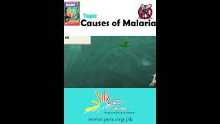 Causes of Malaria part 2 I Biology  Biology penacademy malarialifecycle malaria [upl. by Kopp]