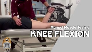 MMT Knee Flexion Manual Muscle Test [upl. by Dinan]