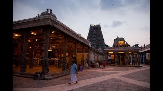 Kapaleeshwarar Temple  Chennai  Top places to see in Chennai  Top places to see in India [upl. by Lancelle359]