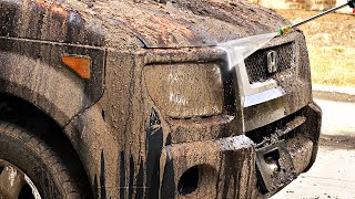 Muddy Car Pressure Washing ASMR  NO MUSIC  Auto Detailing Honda Element [upl. by Ecirpak]