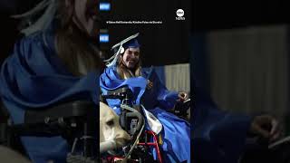 Service dog gets diploma at Seton Hall University commencement  ABC News [upl. by Chadwick]