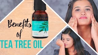 5 Essential Uses of Tea Tree Oil For Face And Skin  Glamrs [upl. by Eli]