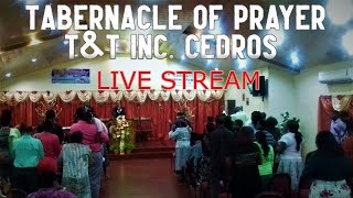 Tabernacle of Prayer TampT Inc Cedros  Sunday Morning Service  Live Stream [upl. by Akire]