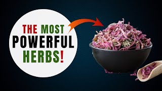 10 Most POWERFUL Medicinal Herbs PROVEN by Science [upl. by Kristi]