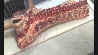 Meat Cuts Tutorial Beef Forequarter Tenderloin Rump T Bone Sirloin by The Meat Boutique [upl. by Leidag]