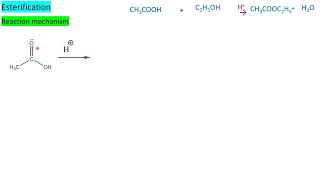 Esterification reaction mechanism2 CHEMISTRY TNSCERT [upl. by Asare812]