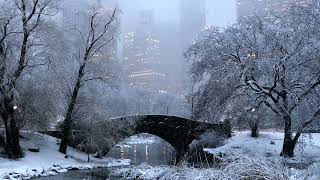 Central Park on a Snowy Evening [upl. by Lrak805]