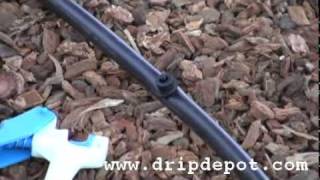 How to install button drippers in a drip irrigation system [upl. by Auroora]