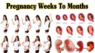 Pregnancy Weeks To Months  1 To 9 Weeks Fetal Developments [upl. by Moretta]