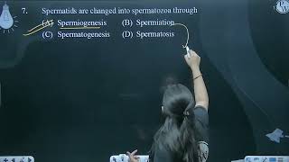 Spermatids are changed into spermatozoa through [upl. by Joelie225]