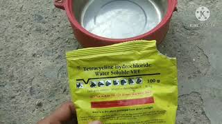 Tetracycline powder kabootar ko kse de kitna de  Tetracycline पा‌‌उडर कैसे दे और कितना दे 💉💊 [upl. by Templeton]