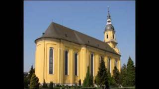 TRIER TR Pfarrkirche St Paulin  Vollgeläute [upl. by Vitia286]