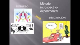 VIDEO EXPLICATIVO DEL ESTRUCTURALISMO [upl. by Lafleur]