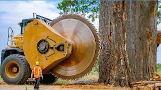 Extreme Dangerous Fastest Big Chainsaw Cutting Tree Machines  Monster Stump Removal Excavator 30 [upl. by Ieppet602]