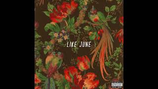 Hamza J  Like June [upl. by Sherj]