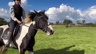 CnG Equine Willow riding in the field [upl. by Eitsirk]