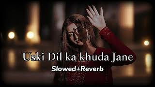 Uski Dil Ka Khuda Jane ¦ Slowed and Reverb Song ¦ New Song 2024 ¦ Punjabi Songs music lofihiphop [upl. by Cordey]