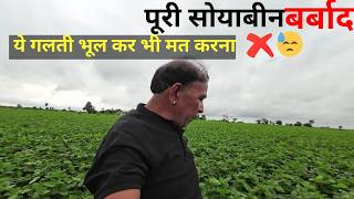 सोयाबीन में ये गलती भारी पड़ेगीसोयाबीन बर्बादSOYBEAN [upl. by Airrej]