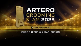 Pure Breeds amp Asian Fusion  Saturday Afternoon  Live Artero Grooming Slam 2023 [upl. by Happ]