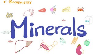 MINERALS for Kids  Classification and Uses  Science [upl. by Drobman]