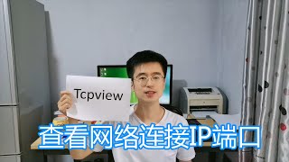 tcpview软件教程，实时刷新查看本机网络连接，进程IP端口协议 [upl. by Alper]