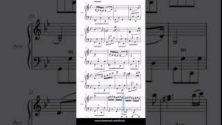 Hungarian Dance No 5  Accordion solo  Johannes Brahms Sheets Music Tutorial score [upl. by Krongold]