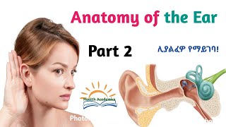 Anatomy of the Ear Nervous System Interesting Video with Amharic Speech Part 2 [upl. by Asaret]