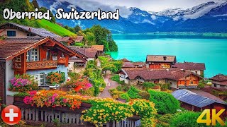 Oberried Switzerland walk in rain 4K  Most beautiful Swiss villages  rain ambience [upl. by Buff]