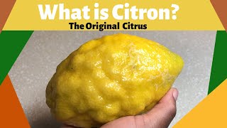 What is Citron The Original Citrus [upl. by Olinde235]