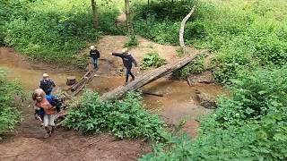 Willingham Woods  Visit Lincolnshire Wolds [upl. by Lampert]