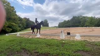 Aug ‘22 training level 2 dressage test [upl. by Baxie]