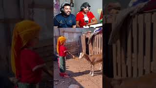 روينة والبلبالة 😂😂morocco maroc [upl. by Bendick135]