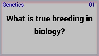 True Breeding Term Meaning  True Breeding definition  What is meant by true breeding [upl. by Eitra]