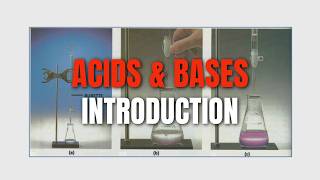 Acids amp Bases Introduction Grade 12 Chemistry [upl. by Erlond383]