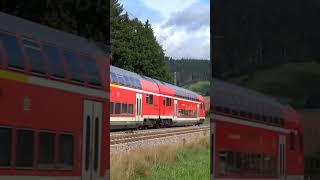 146 231 Radolfzell am Bodensee  Regional Express Karlsruhe  Offenburg  Konstanz 🇩🇪 [upl. by Lindholm]