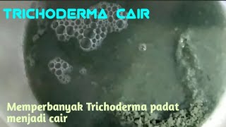 Trichoderma Cair [upl. by Lamoree625]