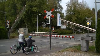 Spoorwegovergang Gronau D  Railroad crossing  Bahnübergang [upl. by Hamas]