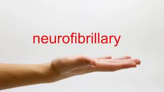 How to Pronounce neurofibrillary  American English [upl. by Htenywg]