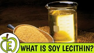 Soy Lecithin Why It Is Bad For You [upl. by Niad]