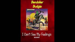 Rank The Tracks Bandolier Budgie [upl. by Kalinda]