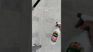 Shower storage clean 🧴🧴 cleantok cleaning bathroom shower shelf storage asmr viral fyp [upl. by Nehgam]